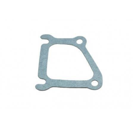 Gasket Thermostat Housing 300TDI