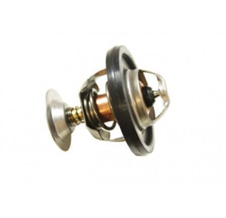 3974110362.jpg Thermostat 300 TDI